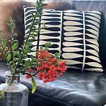 Haus Schlafgemach Φλένσμπουργκ